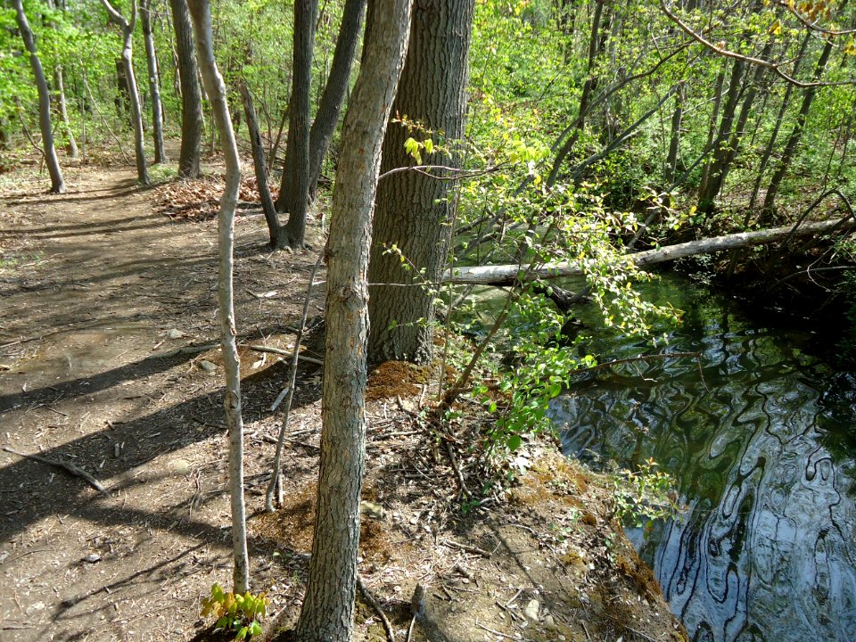 Franklin Lakes Nature Preserve path by lake