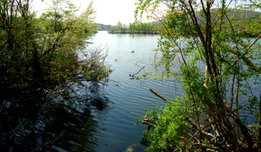 Franklin Lakes Nature Preserve lake