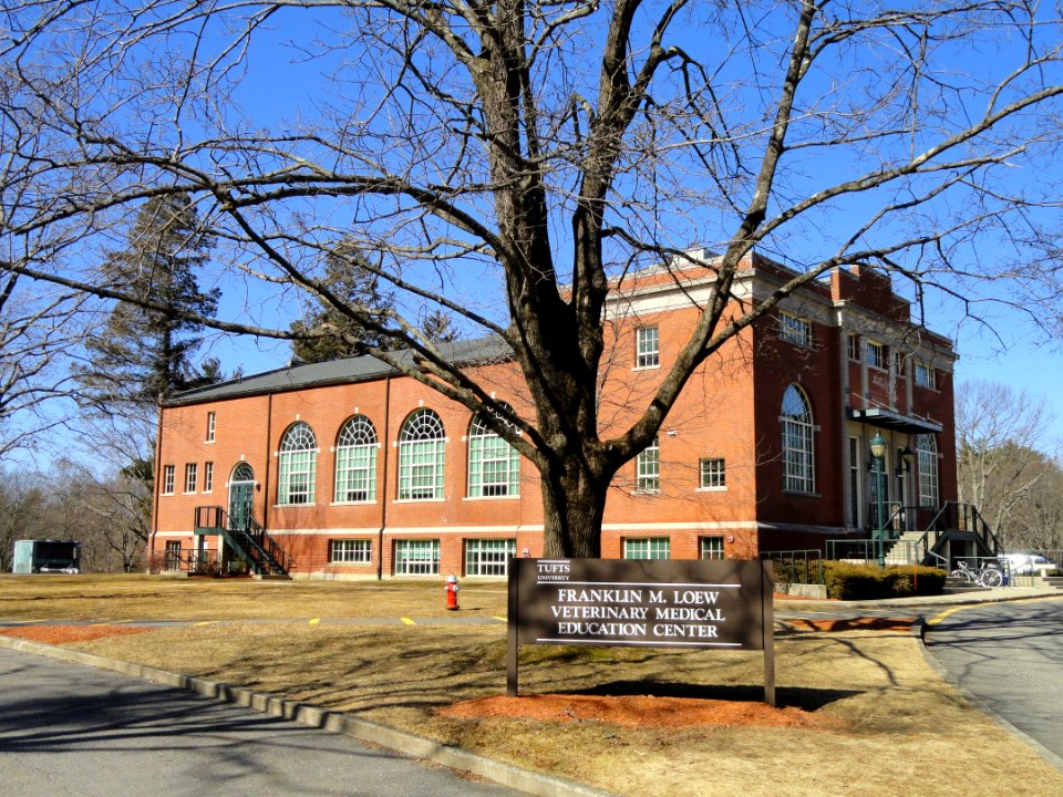 Franklin M. Loew Veterinary Medical Education Center - Cummings School of Veterinary Medicine - North Grafton, MA - DSC04490