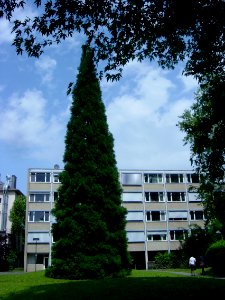 Frankfurt Campus Bockenheim Studentenwohnheim Bockenheimer Landstraße 135 13