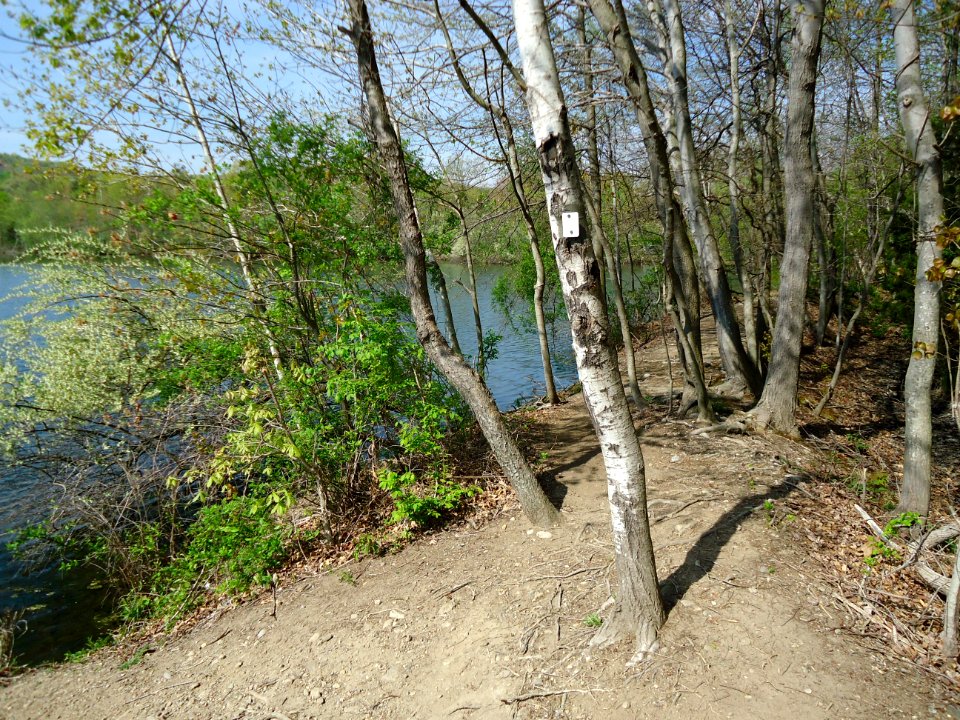 Franklin Lakes NJ Nature Preserve path around lake