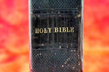 Belief bible black photo