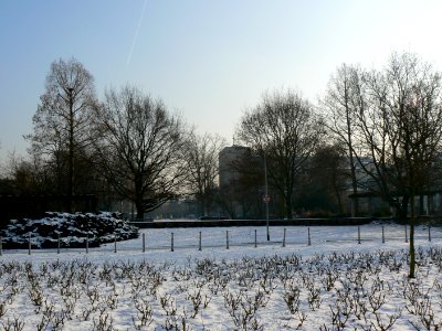 Frankfurt-Bockenheim Margarete-und-Fritz-Kahl-Anlage 24