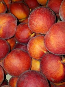 Fruit food fresh