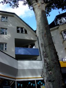 Frankfurt-Bockenheim Leipziger Straße Delkeskamp 27