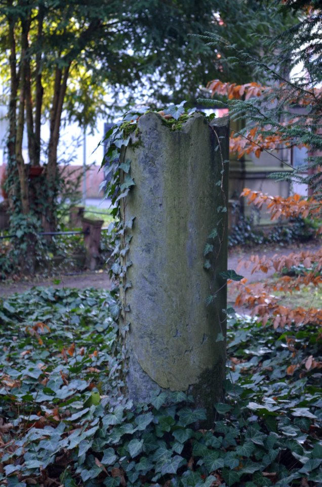 Frankfurt, Hauptfriedhof, Grab C 116 Nies
