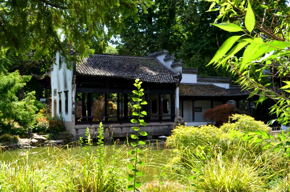 Frankfurt, Wasserpavillon nach Brandanschlag (1)