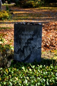 Frankfurt, Hauptfriedhof, Grab Abisag Tüllmann