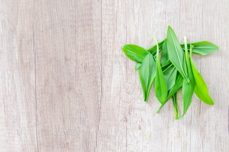 Garlic food green