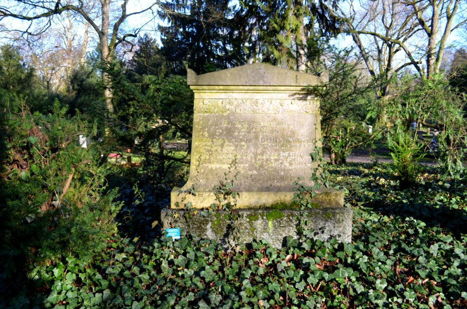 Frankfurt, Hauptfriedhof, Grab B 297 Schiffermüller