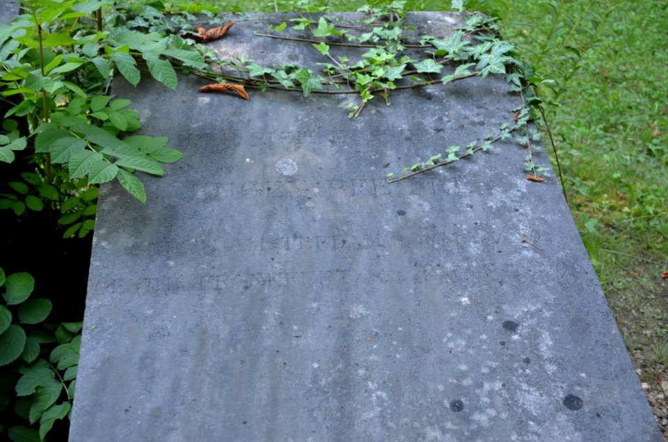 Frankfurt, Hauptfriedhof, Grab B 128 Pfeiffer (3)