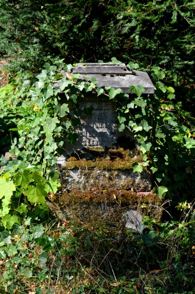 Frankfurt, Hauptfriedhof, Grab B 57-60 de Rouville-Jordan (8)