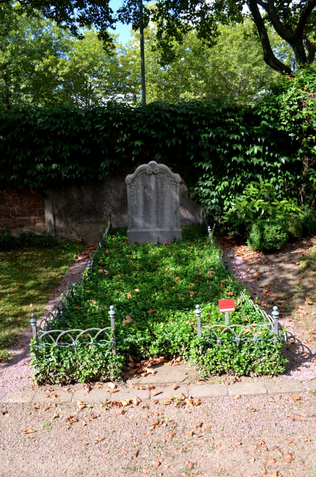 Frankfurt, Hauptfriedhof, Grab adM F 460 b Noll-Livingstone (1)