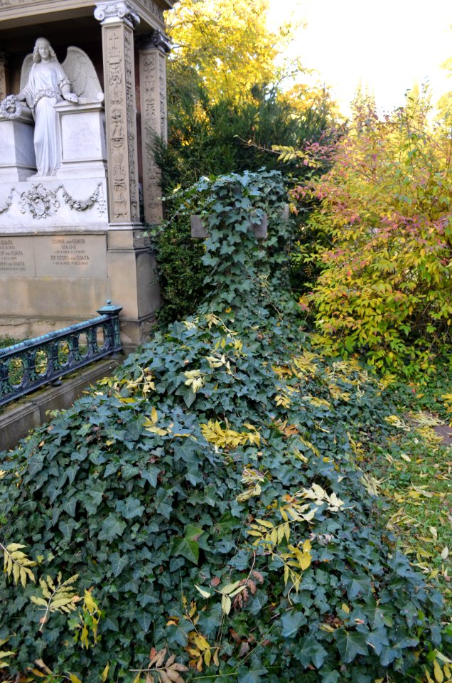 Frankfurt, Hauptfriedhof, Grab C 10 Eulenstein