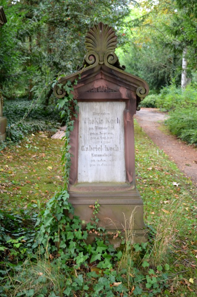 Frankfurt, Hauptfriedhof, Grab C 131 Koch, Vorderseite