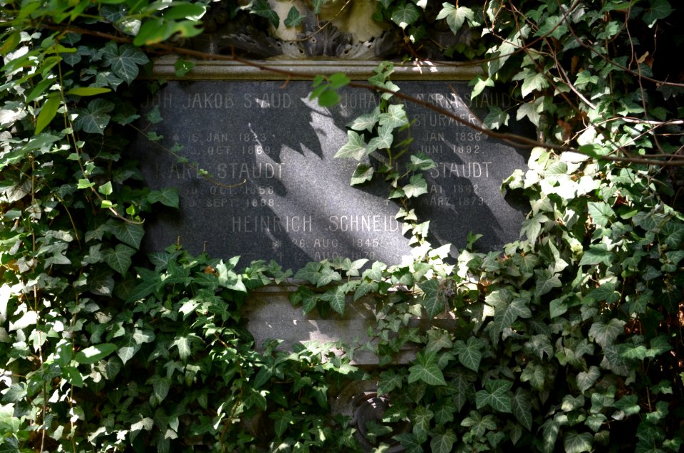 Frankfurt, Hauptfriedhof, Grab adM F 451 Staudt