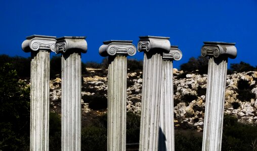 Column ionic elegance
