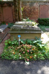 Frankfurt, Hauptfriedhof, Grab adM 106 von Blittersdorff (1)