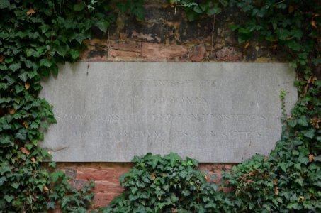 Frankfurt, Hauptfriedhof, Grab adM 81-82 von Cronstett- und von Hynspergisches adliges evangelisches Damenstift