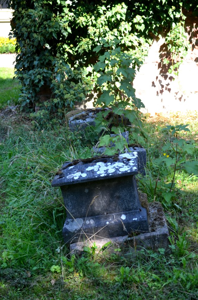 Frankfurt, Hauptfriedhof, Grab adM B 355 Vogt-Brentano