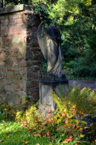 Frankfurt, Hauptfriedhof, Grab adM 615-616 Behringer