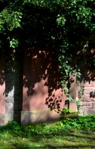 Frankfurt, Hauptfriedhof, Grab B adM 329 Finger