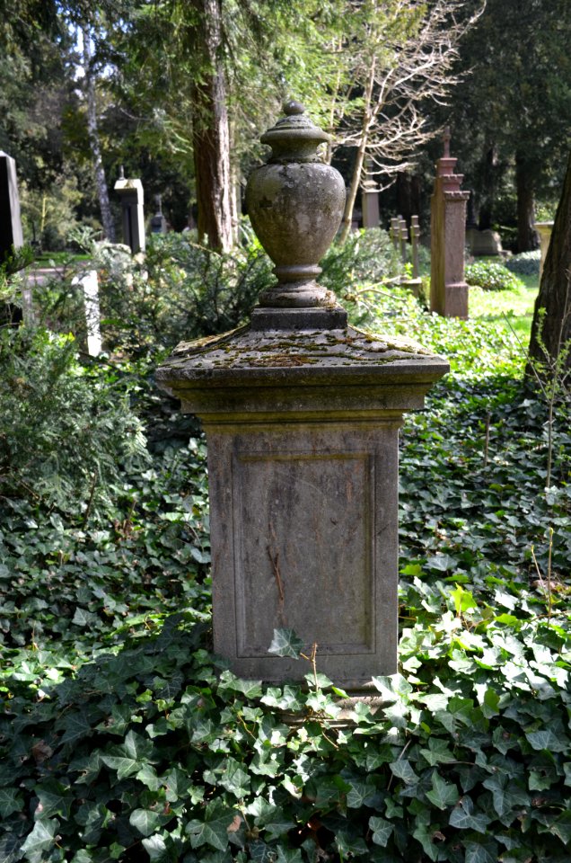 Frankfurt, Hauptfriedhof, Grab bei D 438 Knips