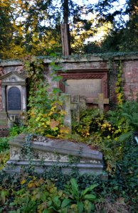 Frankfurt, Hauptfriedhof, Grab adM 541a Brückner