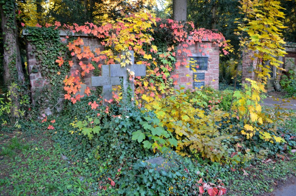 Frankfurt, Hauptfriedhof, Grab adM 546a Euler