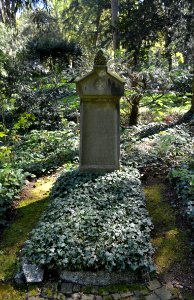 Frankfurt, Hauptfriedhof, Grab A 743a Riese (1)