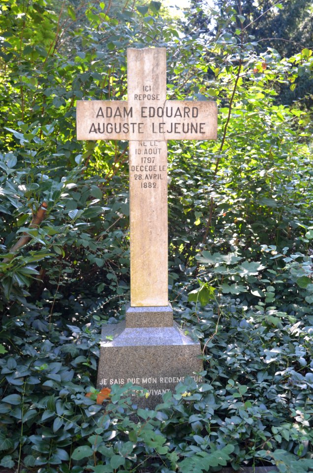 Frankfurt, Hauptfriedhof, Grab B 108-110 Lejeune (4)