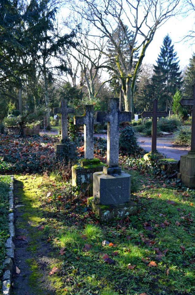 Frankfurt, Hauptfriedhof, Grab B 48-48a Eyssen