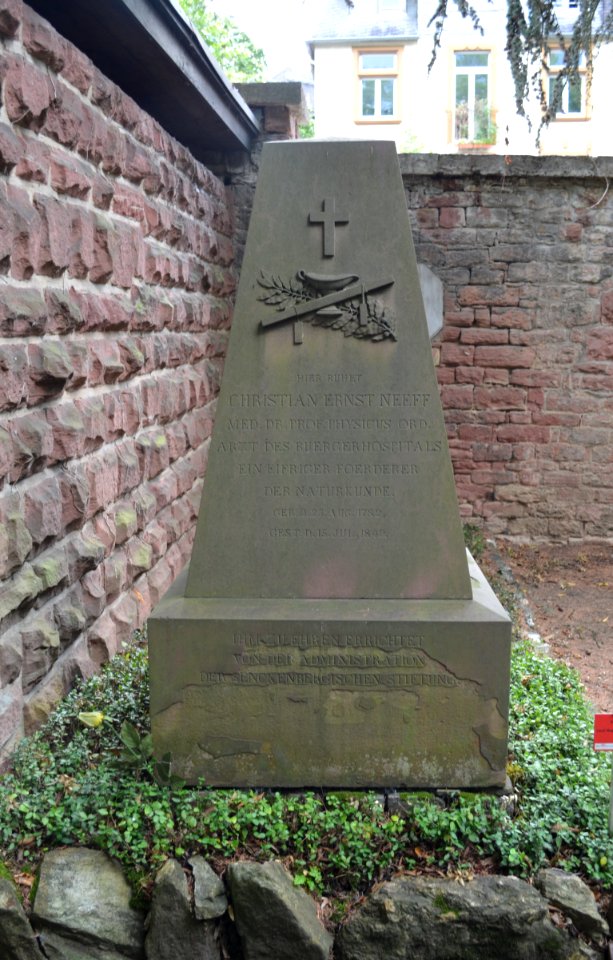 Frankfurt, Hauptfriedhof, Grab adM 62 Neef (1)