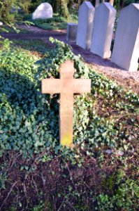 Frankfurt, Hauptfriedhof, Grab bei 556 Fester