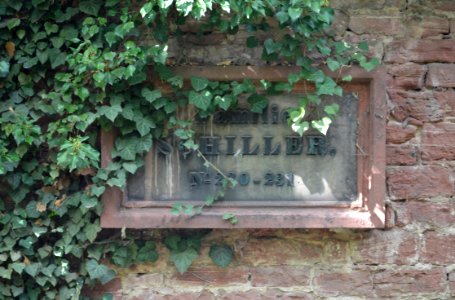 Frankfurt, Hauptfriedhof, Grab adM 230-231 Schiller