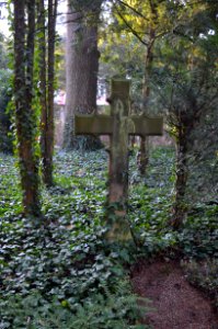Frankfurt, Hauptfriedhof, Grab bei C 426 Buchka