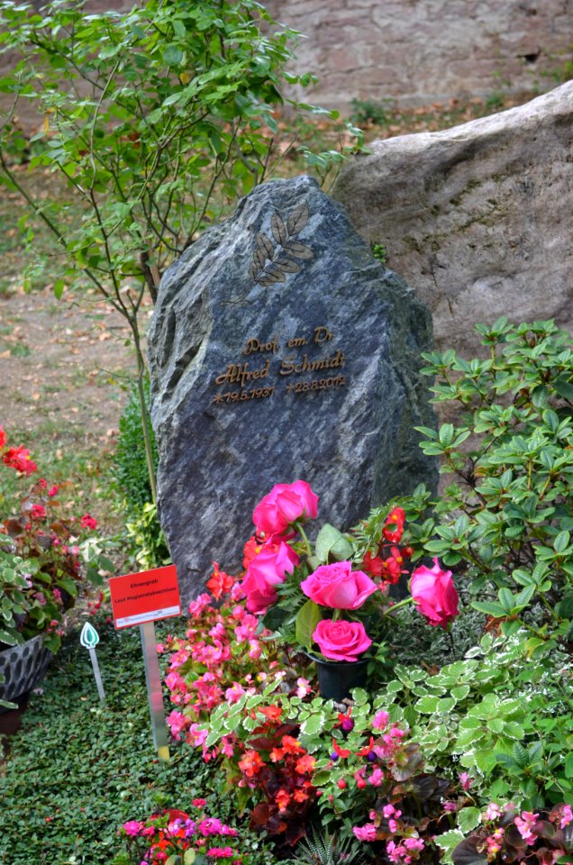 Frankfurt, Hauptfriedhof, Grab Alfred Schmidt