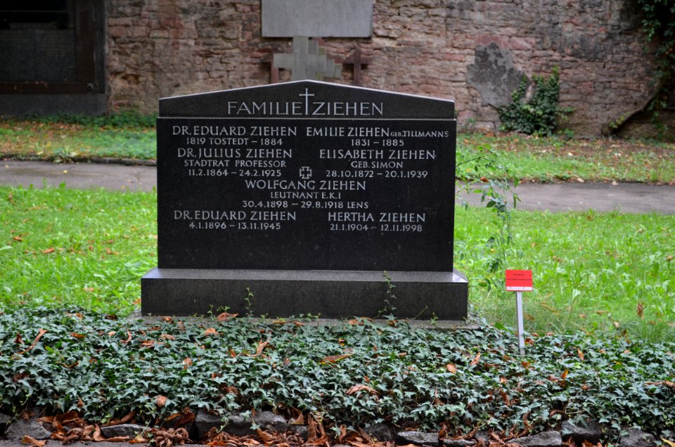 Frankfurt, Hauptfriedhof, Ehrengrab D 228 Julius Ziehen