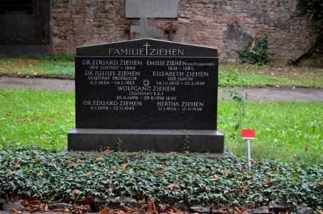 Frankfurt, Hauptfriedhof, Ehrengrab D 228 Julius Ziehen