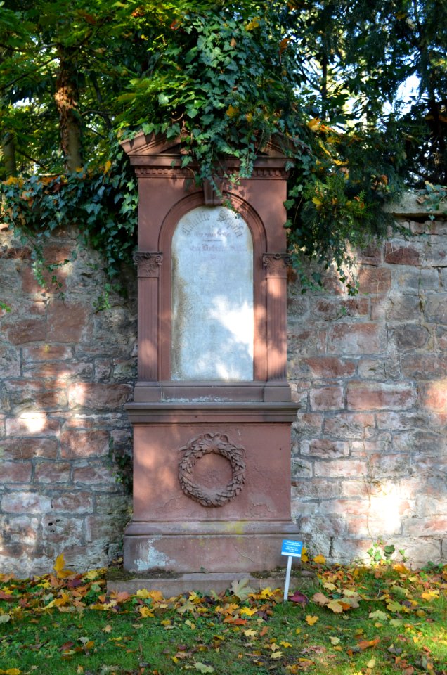 Frankfurt, Hauptfriedhof, Grab adM 467 Schäfer