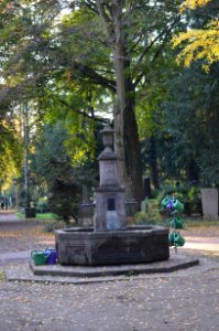 Frankfurt, Hauptfriedhof, Brunnen im Birkenwäldchen (1)