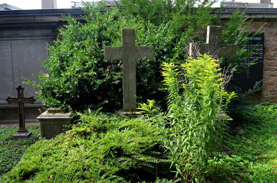 Frankfurt, Hauptfriedhof, Grab adM 216 von Heyden