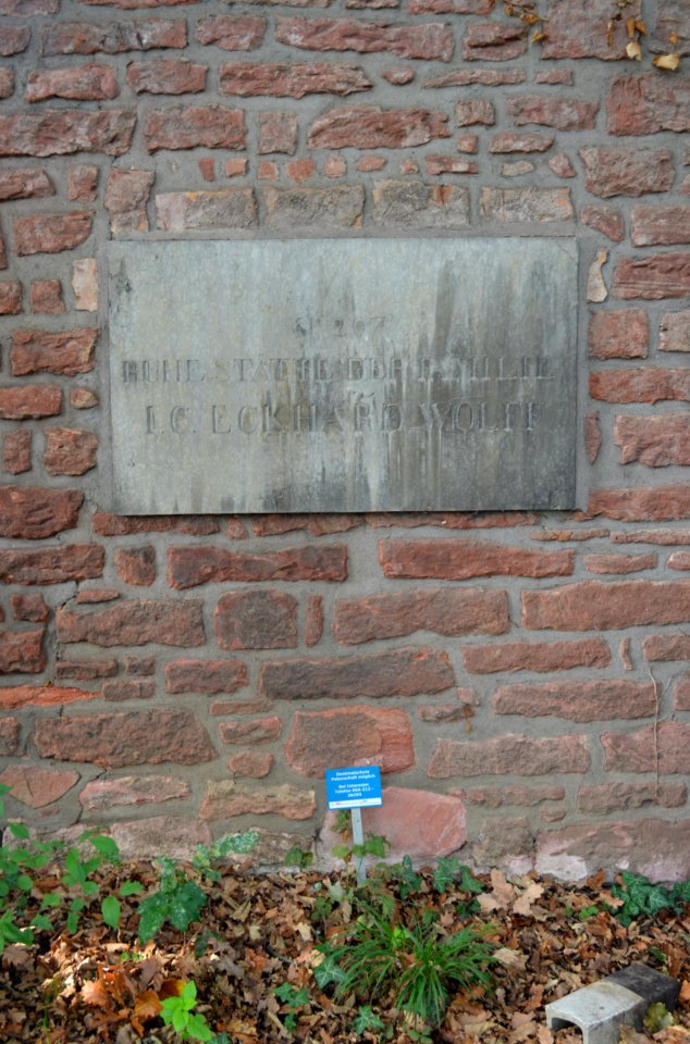 Frankfurt, Hauptfriedhof, Grab adM 207 Eckhard-Wolff