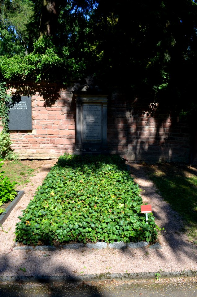 Frankfurt, Hauptfriedhof, Grab adM 325 Malss (1)