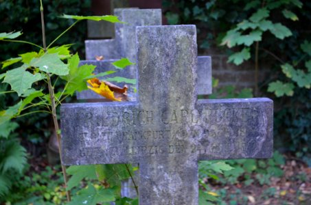 Frankfurt, Hauptfriedhof, Grab adM 327a Finger (1)