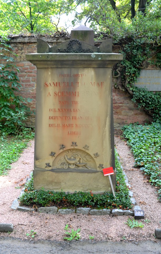 Frankfurt, Hauptfriedhof, Grab adM 178 Rittershausen-Soemmerring (1)