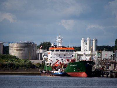Frances Wonsild (ship, 1994) IMO 9013660, Calandkanaal pic1