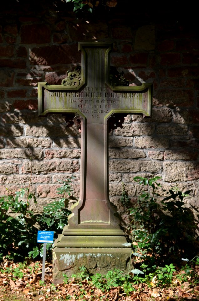 Frankfurt, Hauptfriedhof, Grab adM 228 Berg