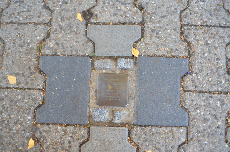 Frankfurt, Gärtnerweg 12, Stolperstein Carl Emanuel