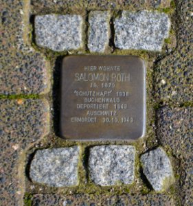 Frankfurt, Große Seestraße 11, Stolperstein